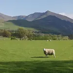 Dogwood Timber * Keswick (Cumbria)