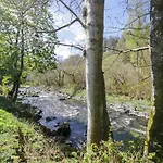 Dogwood Timber Keswick (Cumbria)