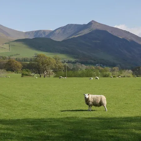 Dogwood Timber * Keswick (Cumbria)