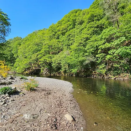 Dogwood Timber * Keswick (Cumbria)
